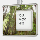 Bis zu Redwoods I im Muir Woods National Monument Rahmen-Ornament Silber (Links)