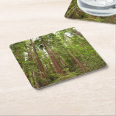 Bis zu Redwoods I im Muir Woods National Monument Rechteckiger Pappuntersetzer (angewinkelt)