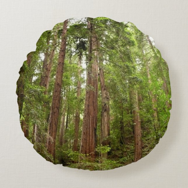 Bis zu Redwoods I im Muir Woods National Monument Rundes Kissen (Vorderseite)
