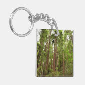 Bis zu Redwoods I im Muir Woods National Monument Schlüsselanhänger (Vorderseite links)