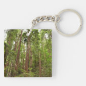 Bis zu Redwoods I im Muir Woods National Monument Schlüsselanhänger (Rückseite)