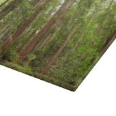 Bis zu Redwoods I im Muir Woods National Monument Schneidebrett (Ecke)