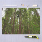 Bis zu Redwoods I im Muir Woods National Monument Seidenpapier (Handwerk)