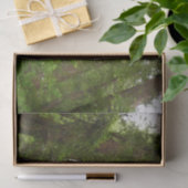 Bis zu Redwoods I im Muir Woods National Monument Seidenpapier (Geschenk)