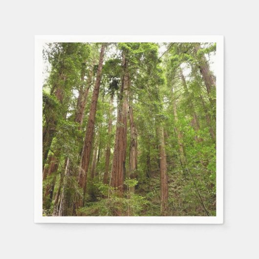 Bis zu Redwoods I im Muir Woods National Monument Serviette (Vorderseite)