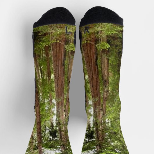 Bis zu Redwoods I im Muir Woods National Monument Socken (Oben)