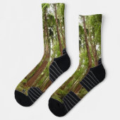 Bis zu Redwoods I im Muir Woods National Monument Socken (Links)