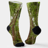 Bis zu Redwoods I im Muir Woods National Monument Socken (Gewinkelt)