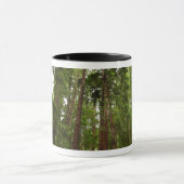 Bis zu Redwoods I im Muir Woods National Monument Tasse (Zentrum)