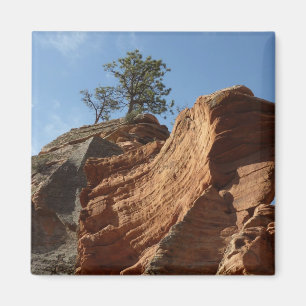 Bis zum Angels Landing im Zion National Park Magnet