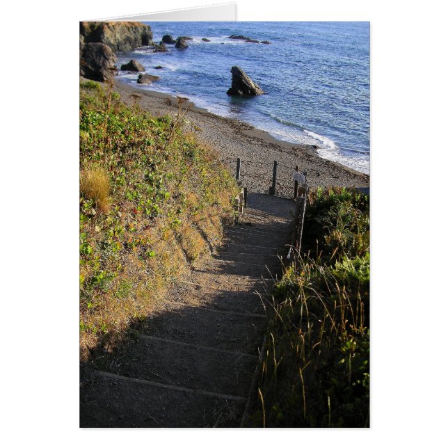 Bis zum Haifelsen (Vorne)