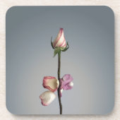 Bis zum letzten Blatt... Getränkeuntersetzer (Vorderseite)