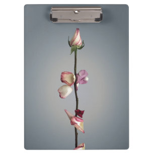 Bis zum letzten Blatt... Klemmbrett