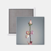 Bis zum letzten Blatt... Magnet (Vorderseite/Rückseite)