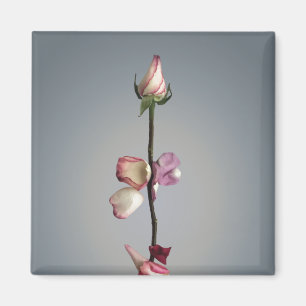 Bis zum letzten Blatt... Magnet