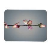 Bis zum letzten Blatt... Magnet (Horizontal)