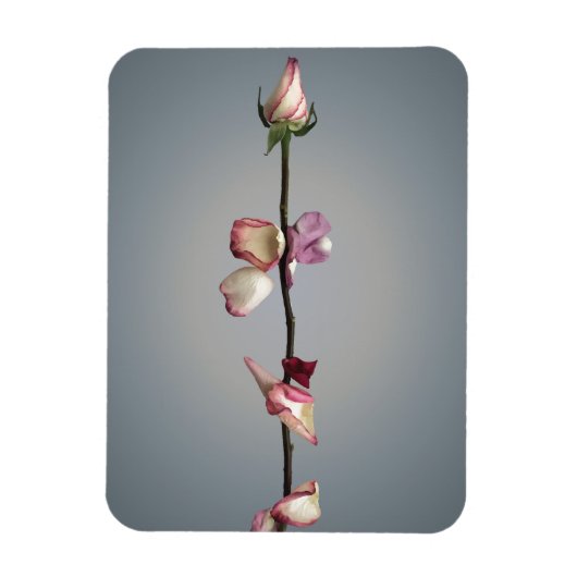 Bis zum letzten Blatt... Magnet (Vertikal)