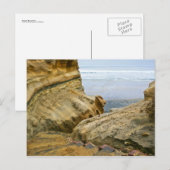 Bis zum Ozean Postkarte (Vorne/Hinten)