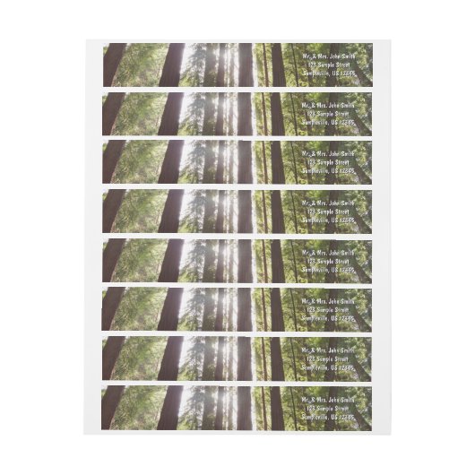 Bis zum Redwoods am Morgen (Bogen)