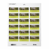 Bis zum Redwoods am Morgen Adressaufkleber (Vorne)