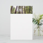 Bis zum Redwoods am Morgen Briefpapier (Stehend Vorderseite)