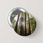 Bis zum Redwoods am Morgen Button (Vorne & Hinten)