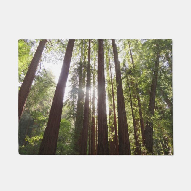 Bis zum Redwoods am Morgen Fußmatte (Vorderseite)