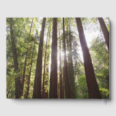 Bis zum Redwoods am Morgen Gästebuch (Rückseite)