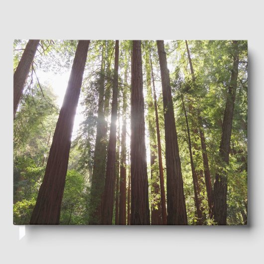 Bis zum Redwoods am Morgen Gästebuch (Vorderseite)