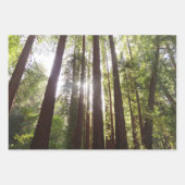 Bis zum Redwoods am Morgen Geschenkpapier Set (Vorderseite 3)
