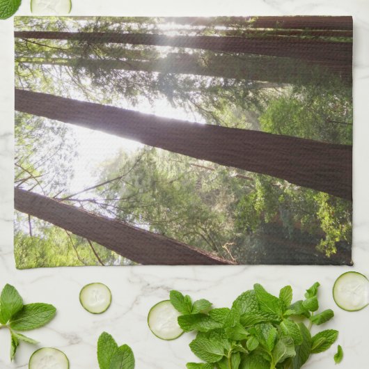 Bis zum Redwoods am Morgen Geschirrtuch (Gefaltet)