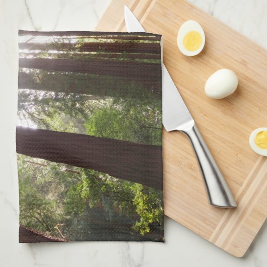 Bis zum Redwoods am Morgen Geschirrtuch (Viertel Falte)