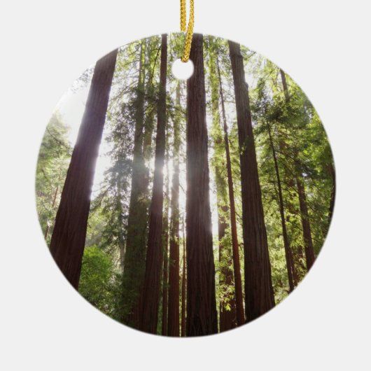 Bis zum Redwoods am Morgen Keramik Ornament (Vorne)