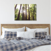 Bis zum Redwoods am Morgen Leinwanddruck (Insitu (Schlafzimmer))