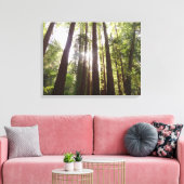 Bis zum Redwoods am Morgen Leinwanddruck (Insitu (Wohnzimmer))
