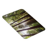 Bis zum Redwoods am Morgen Magnet (Rechte Seite)