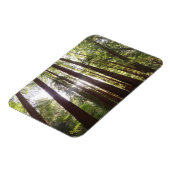 Bis zum Redwoods am Morgen Magnet (Linke Seite)