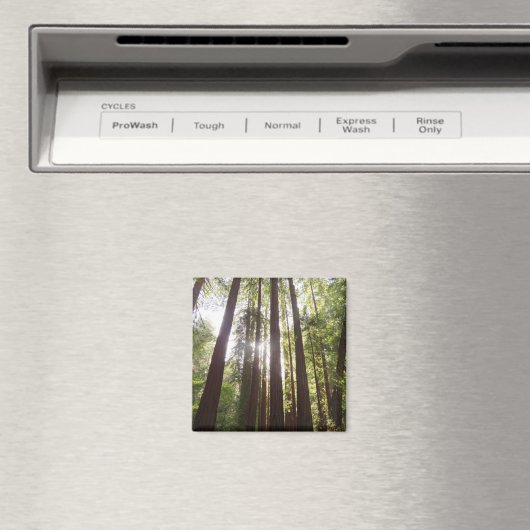 Bis zum Redwoods am Morgen Magnet (In Situ (Geschirrspüler))