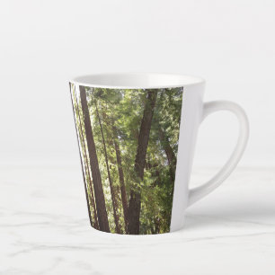 Bis zum Redwoods am Morgen Milchtasse
