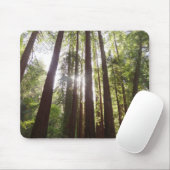 Bis zum Redwoods am Morgen Mousepad (Mit Mouse)