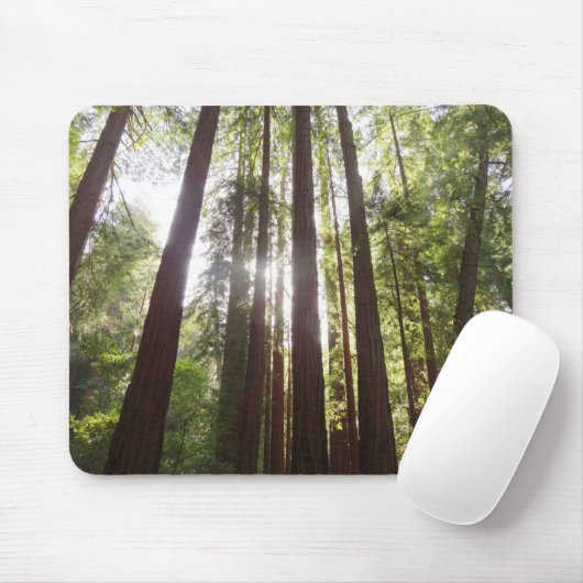 Bis zum Redwoods am Morgen Mousepad (Mit Mouse)