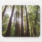 Bis zum Redwoods am Morgen Mousepad (Vorne)