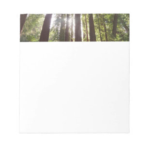 Bis zum Redwoods am Morgen Notizblock