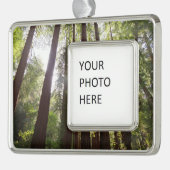 Bis zum Redwoods am Morgen Rahmen-Ornament Silber (Links)