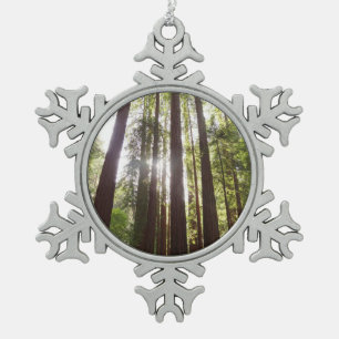 Bis zum Redwoods am Morgen Schneeflocken Zinn-Ornament