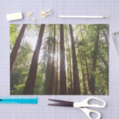 Bis zum Redwoods am Morgen Seidenpapier (Handwerk)