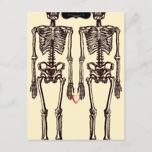 Bis zum Tod sind wir Teil Postkarte (Vorderseite)