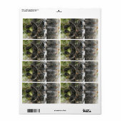 Bis zum Tod tun uns Teil ... Nong Khai, Thailand (Vorne)