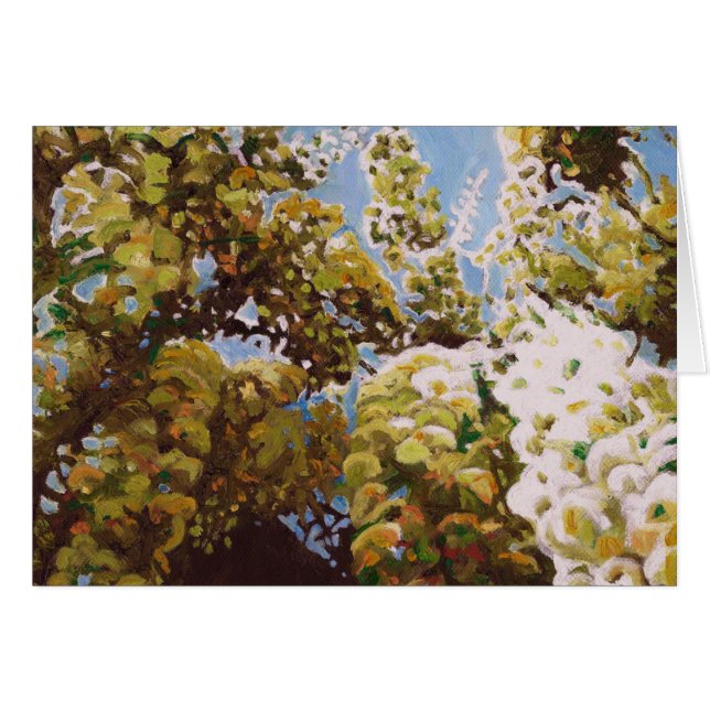 Bis zur Wisteria 2011 (Vorderseite (Horizontal))
