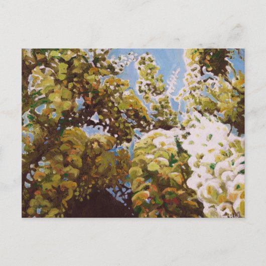 Bis zur Wisteria 2011 Postkarte (Vorderseite)